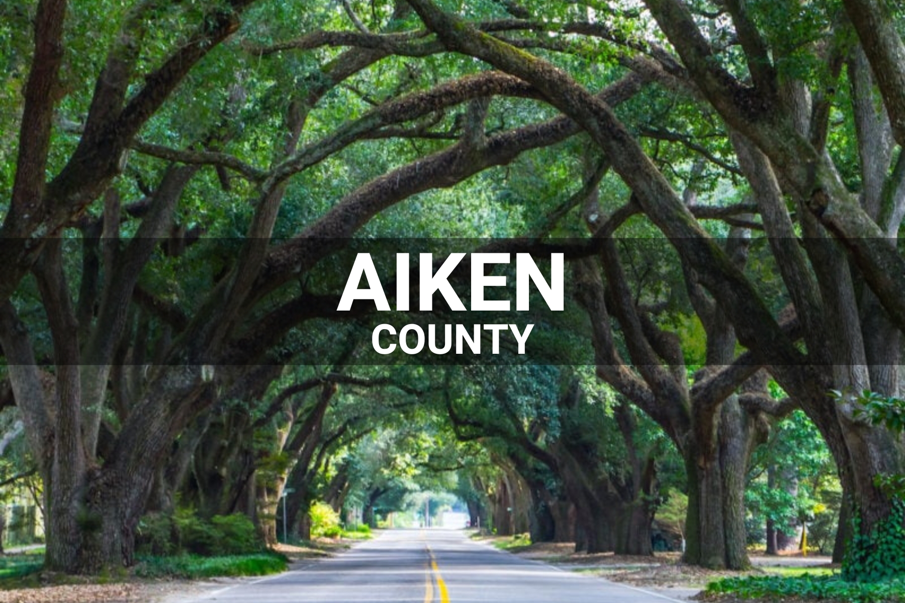 Aiken County
